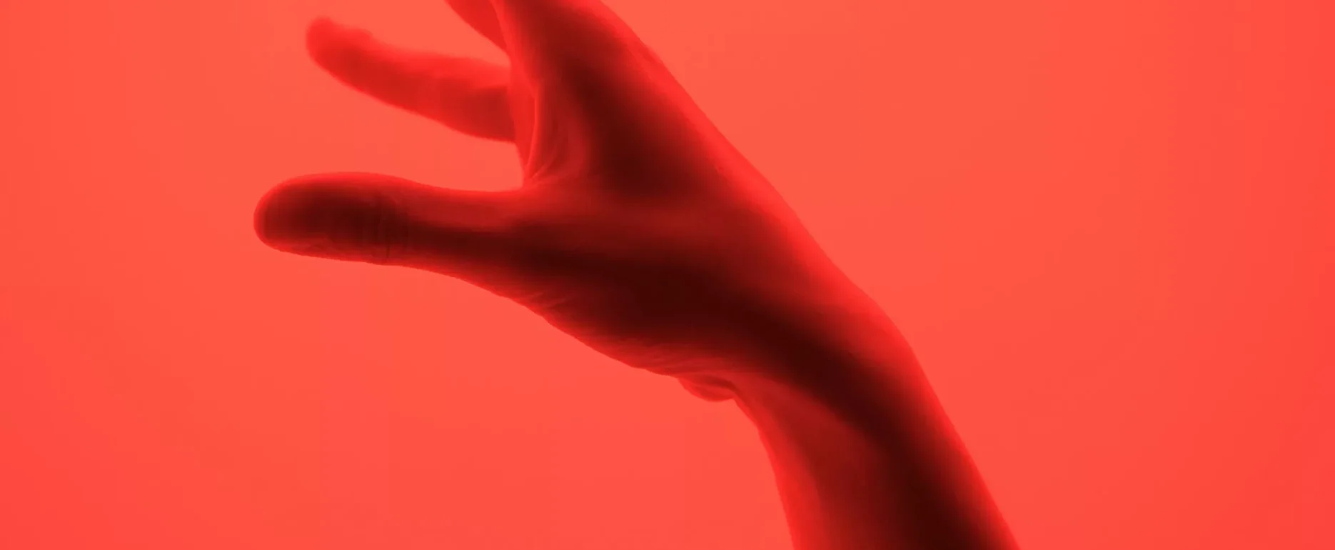 Dynamic Wang VcVo5kMIgtY Unsplash Scaled E1726022005585 1870x770